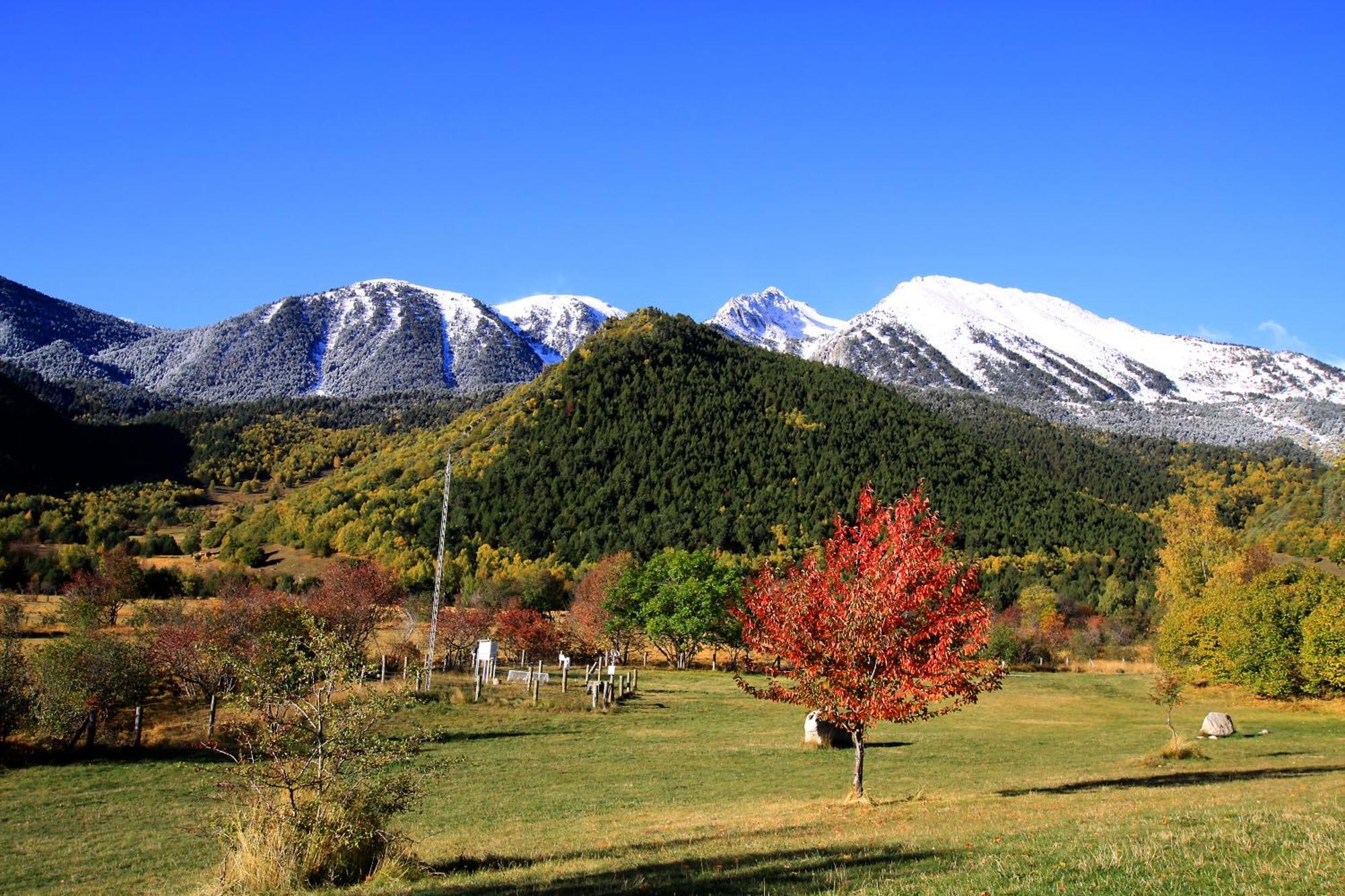Monnatura Pirineus Son Del Pi Εξωτερικό φωτογραφία